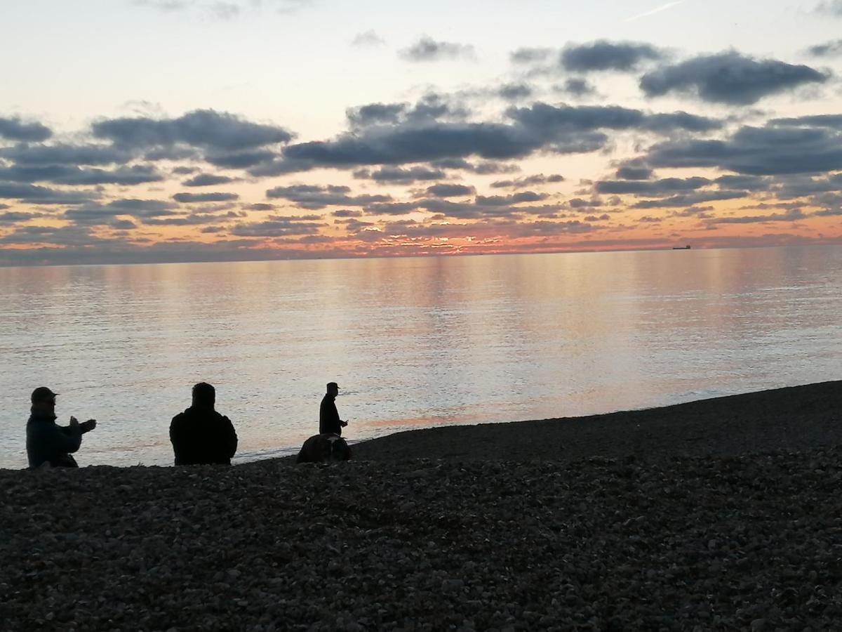 Seadragon Backpackers Vandrerhjem Brighton Eksteriør bilde